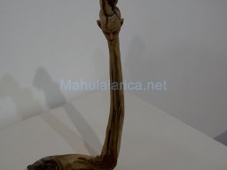 Exposición el tiempo de la Crisálida